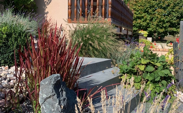 Jardin